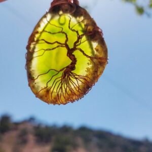 Tree Of Life groene Agaat