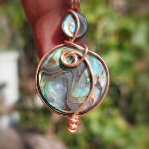 Abalone Schelp New Zealand