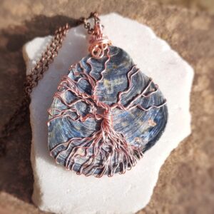 Schelp uit de Middellandse zee