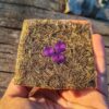 Hand houdt een houten doos met drie paarse kristallen spiralen, natuurlijke achtergrond.