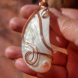 Witte Parelmoer Schelp