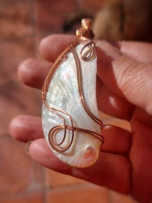 Witte Parelmoer Schelp